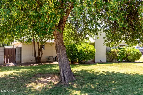 840 E 2nd St, Mesa, AZ 85203 photo 5