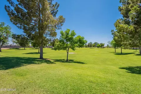 823 N 81st St, Mesa, AZ 85207 photo 29