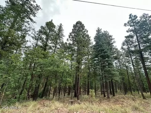 2076 Buttermilk Ln #10171052, Alpine, AZ 85920