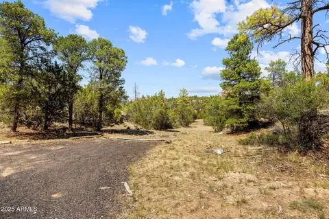 3641 Stagecoach Rd, Overgaard, AZ 85933 photo 24