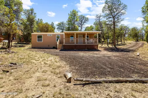 3641 Stagecoach Rd, Overgaard, AZ 85933 photo 3