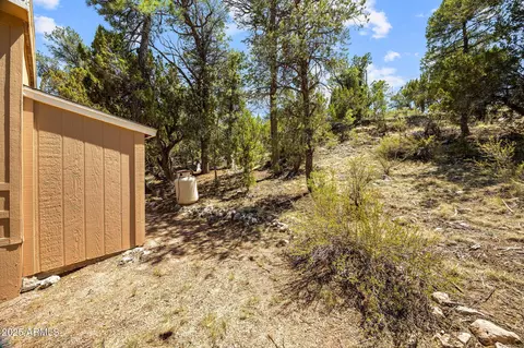 3641 Stagecoach Rd, Overgaard, AZ 85933 photo 22