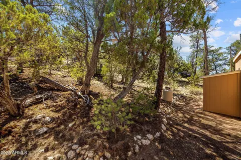 3641 Stagecoach Rd, Overgaard, AZ 85933 photo 19