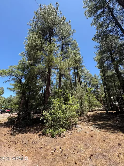 17455 S Stallion Dr #54, Munds Park, AZ 86017