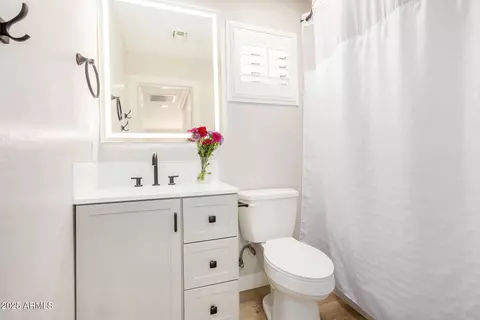 Bath - 2935 E Mead Dr, Gilbert, AZ 85298 photo 2 of 3