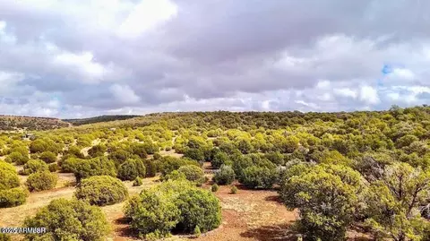 tbd Co Rd 8256 Lot D 10 Acres -- #-, Concho, AZ 85924