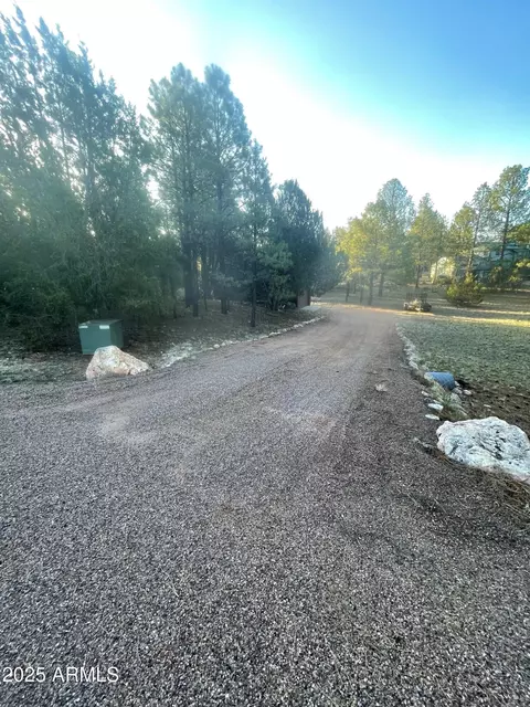 Other - 2235 Del Rio Cir, Overgaard, AZ 85933 photo 19 of 23
