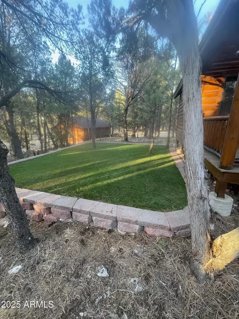 Exterior - 2235 Del Rio Cir, Overgaard, AZ 85933 photo 7 of 15