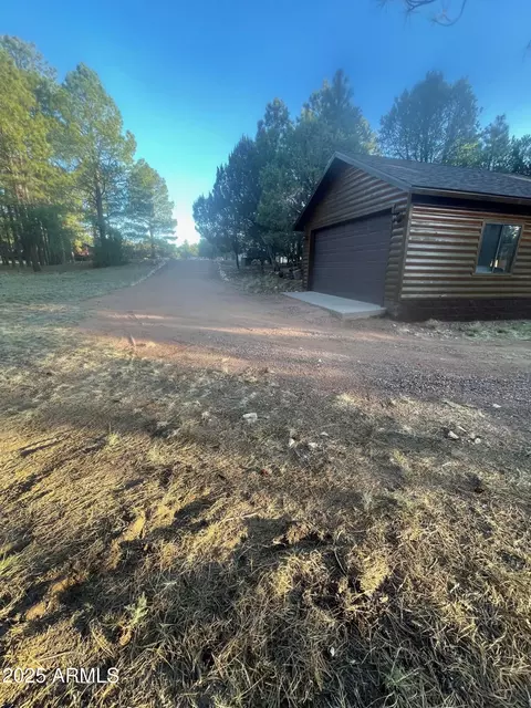 Other - 2235 Del Rio Cir, Overgaard, AZ 85933 photo 8 of 23