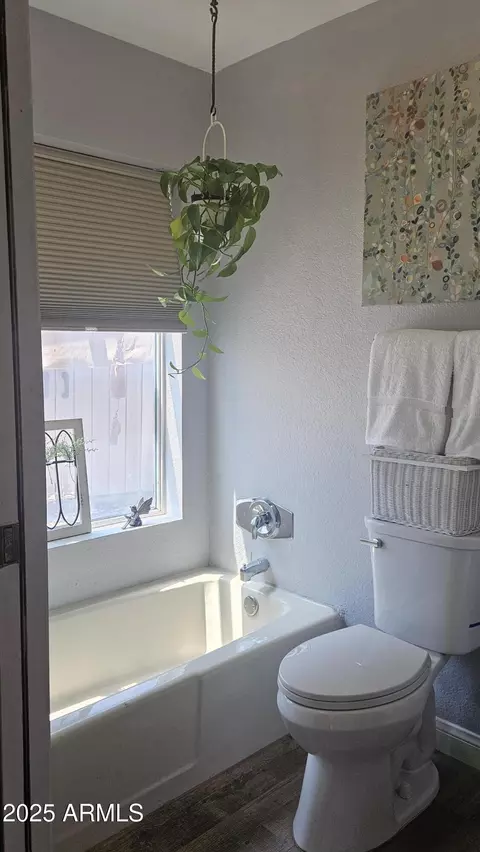 Bath - 245 E Dahlia Dr, Phoenix, AZ 85022 photo 2 of 3