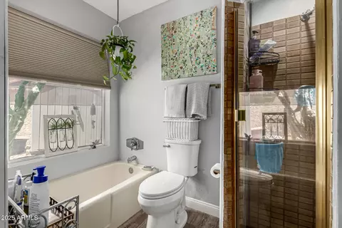 Bath - 245 E Dahlia Dr, Phoenix, AZ 85022 photo 3 of 3