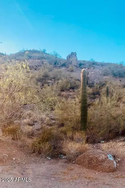 620 W Tonto St #-, Apache Junction, AZ 85120 photo 29