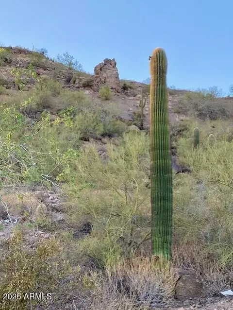 620 W Tonto St #-, Apache Junction, AZ 85120 photo 27