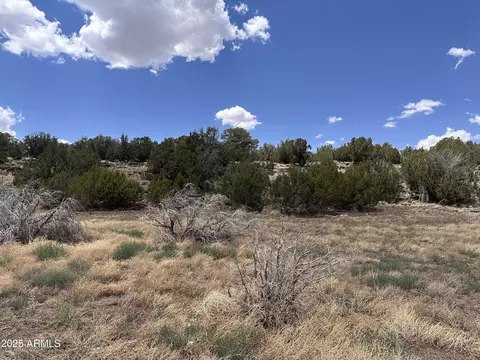 13 Acr 8122 -- #438, Concho, AZ 85924