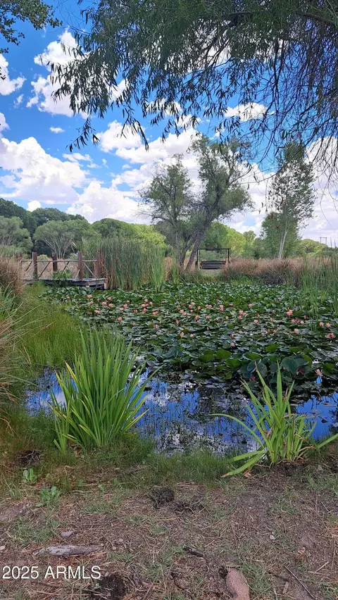 Other - 250 Escalante Rd, Saint David, AZ 85630 photo 23 of 25