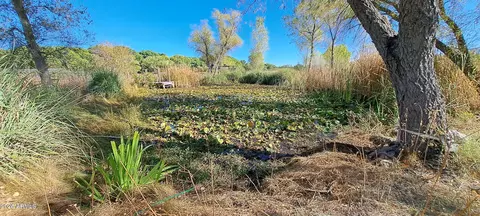 Other - 250 Escalante Rd, Saint David, AZ 85630 photo 6 of 25