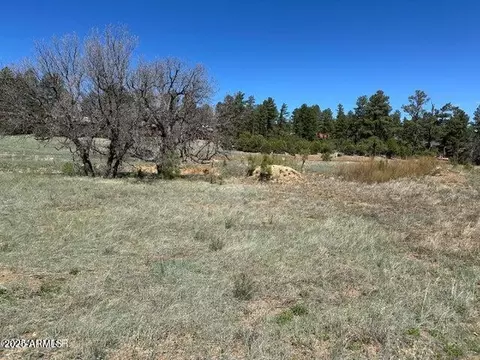 1301 S Lakeside Trl #33, Show Low, AZ 85901