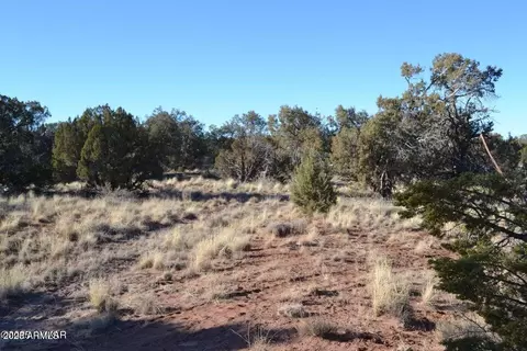 5450 County Line Rd #N/A, Snowflake, AZ 85937