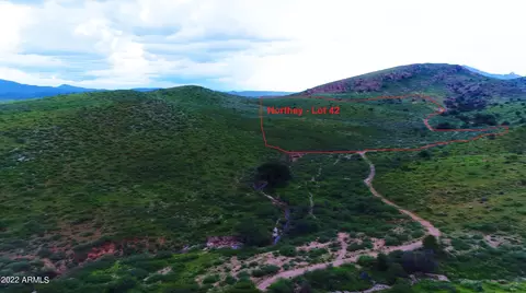 lot42 N Hidden Oaks Trail 39 Acres -- #42, Douglas, AZ 85607
