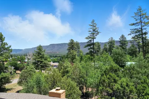 3674 N Tall Pine Ln, Pine, AZ 85544 photo 53