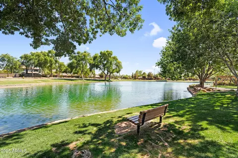 View/Area - 4323 E Reins Rd, Gilbert, AZ 85297 photo 6 of 7