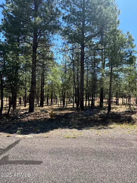 2887 Sparrow Dr #21, Happy Jack, AZ 86024