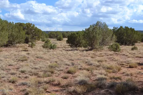 4161 Colt Rd #273, Snowflake, AZ 85937