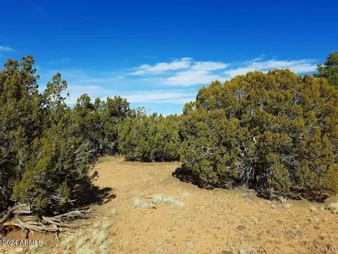 4 N Parcels N Shady Oak 404-69-005 10acres -- #C, Show Low, AZ 85901