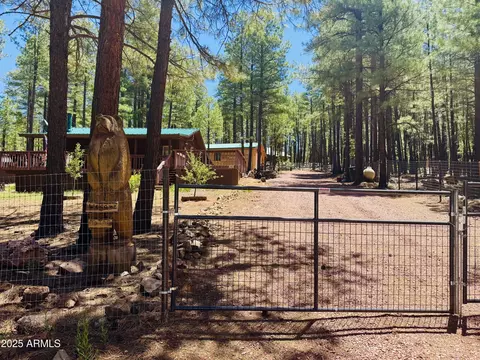 481 Long Valley Rd, Happy Jack, AZ 86024
