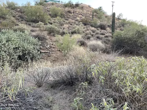 85 E Nn E Culver St #-, Mesa, AZ 85207 photo 5