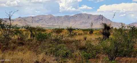 lot20 Willcox Rd #20, Pearce, AZ 85625