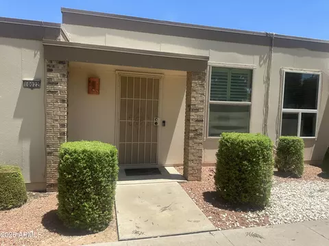 10022 W Hawthorn Dr, Sun City, AZ 85351