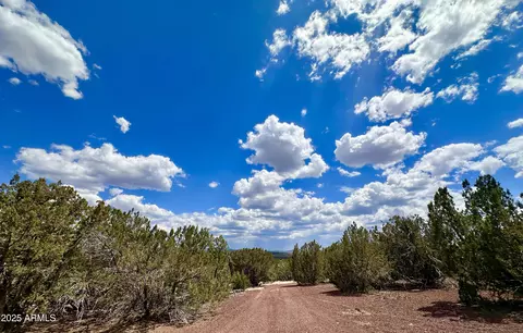 tbd County Rd N8157 -- #-, Concho, AZ 85924