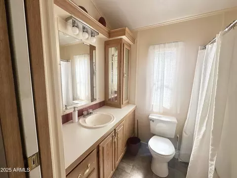 202 S Nightdigger Dr, Apache Junction, AZ 85119 photo 54