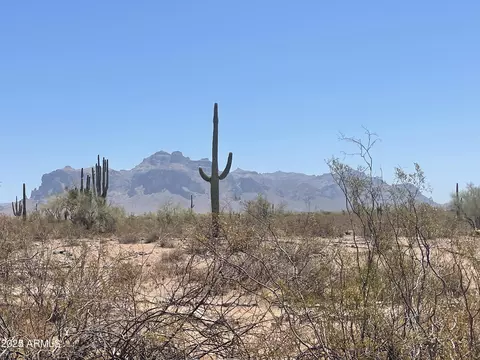 Other - 1440 N Idaho Rd #1095, Apache Junction, AZ 85119 photo 11 of 11