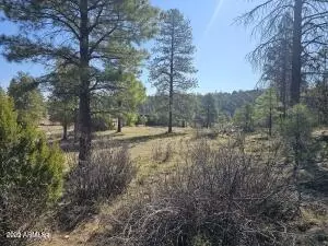 3326 Black Canyon Rd #-, Heber, AZ 85928