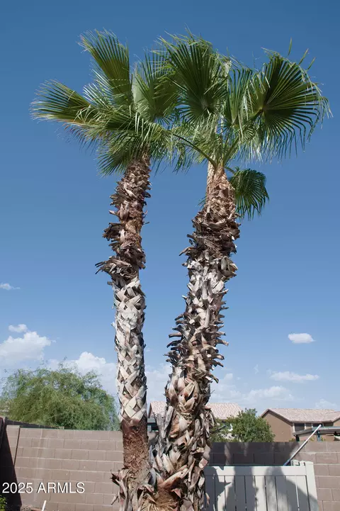 Other - 2074 E 37th Ave, Apache Junction, AZ 85119 photo 25 of 25
