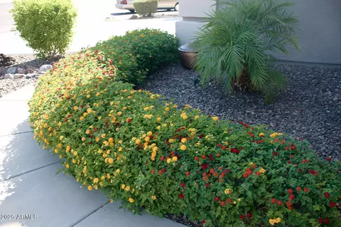 Other - 2074 E 37th Ave, Apache Junction, AZ 85119 photo 1 of 25