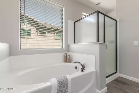 Bath - 9047 E Indigo St, Mesa, AZ 85207 photo 3 of 5