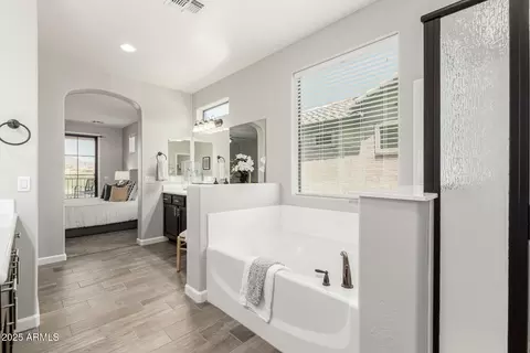 Bath - 9047 E Indigo St, Mesa, AZ 85207 photo 2 of 5