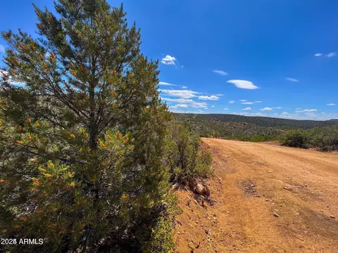 0 Velvet Antler 357 Acres -- #137, Kingman, AZ 86401