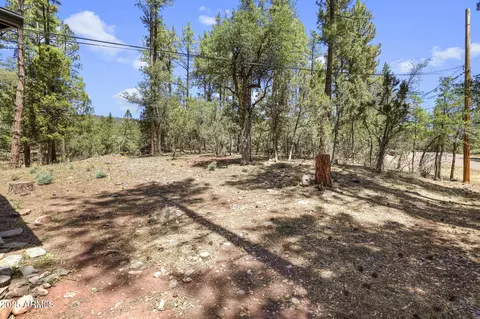 6516 W Bradshaw Dr, Pine, AZ 85544 photo 19