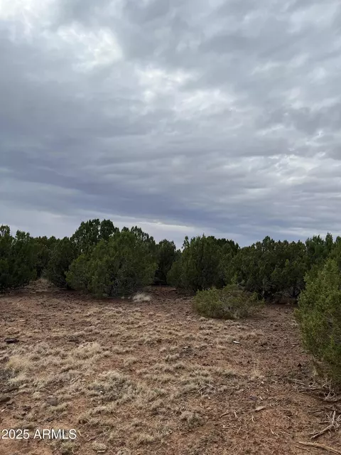 8776 Clark Rd #-, Show Low, AZ 85901