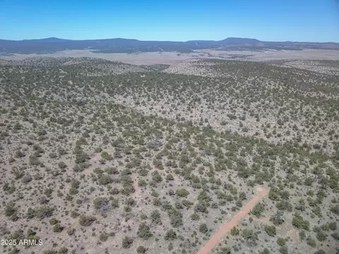193 W Everwood Trl #702, Seligman, AZ 86337