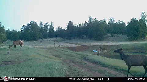 5356 Stonehouse Dr #7, Flagstaff, AZ 86001