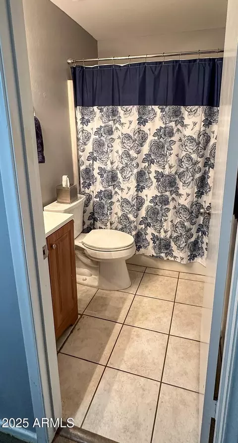 Bath - 2125 N Recker Rd, Mesa, AZ 85215 photo 2 of 3