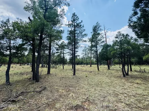 3266 Durango Dr #5, Happy Jack, AZ 86024