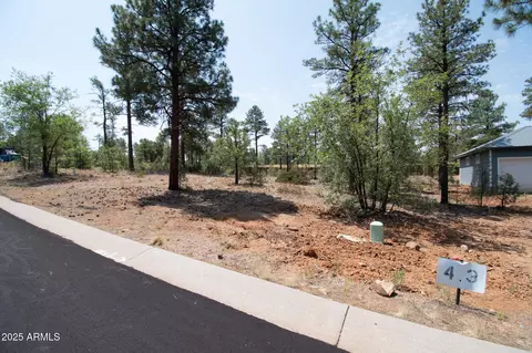 381 E Huckleberry Ln #4, Show Low, AZ 85901