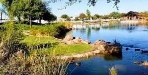 5247 S Hadron Ave, Mesa, AZ 85212 photo 42