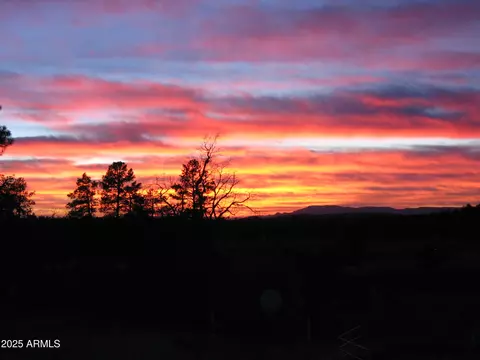 Other - 131 W Hunt Ranch Rd, Pine, AZ 85544 photo 24 of 27